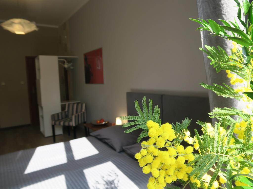 Goscinne Poselska 20 Homestay *
